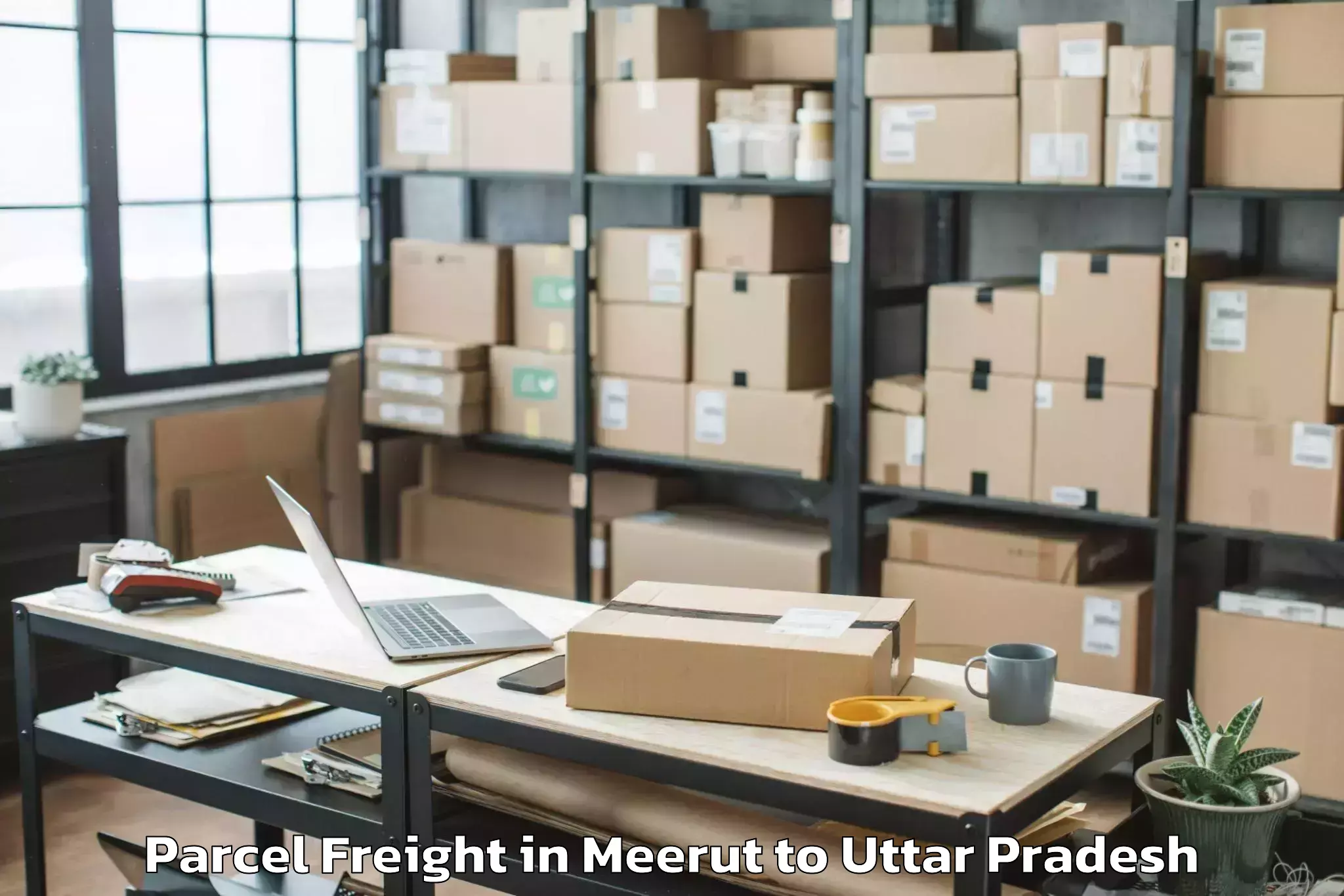 Book Your Meerut to Meja Parcel Freight Today